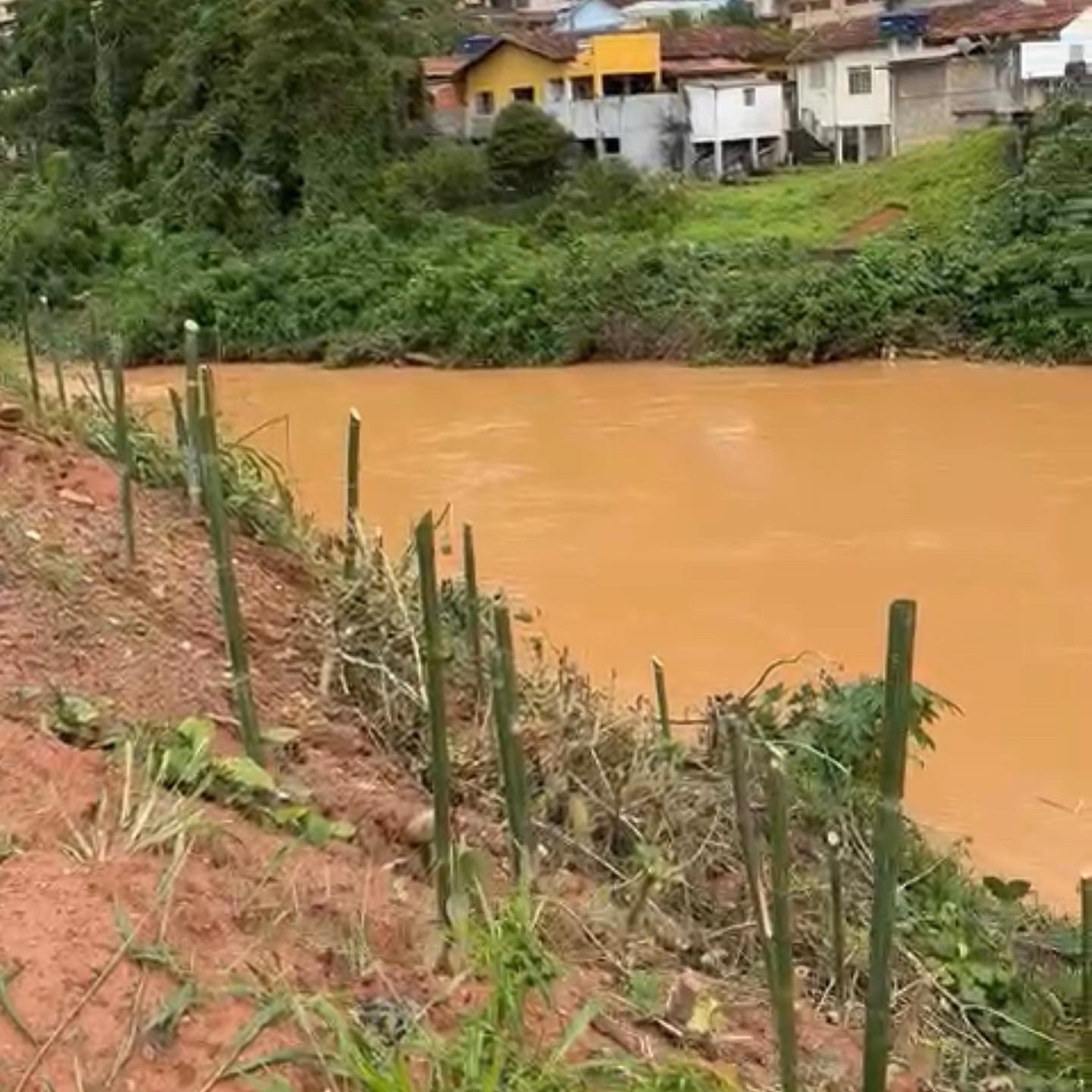 campanha de reflorestamento às margens dos rios Piabanha e Preto